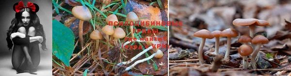 мдма Сафоново