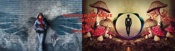 синтетический гашиш Абдулино
